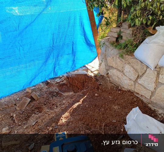 גזע עץ כרות עם שבבי עץ ויריעות בד כחולות
